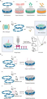 The application of nanodiscs in membrane protein drug discovery & development and drug delivery